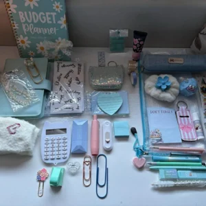 Budget Binder Bundle with Cash Envelopes & Tracker Sheets