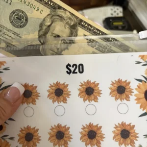 Cash Stuffing Envelope Sets